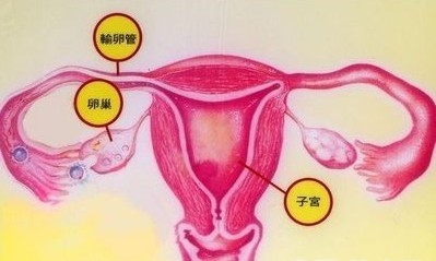 治疗卵巢囊肿的有效方法有哪些